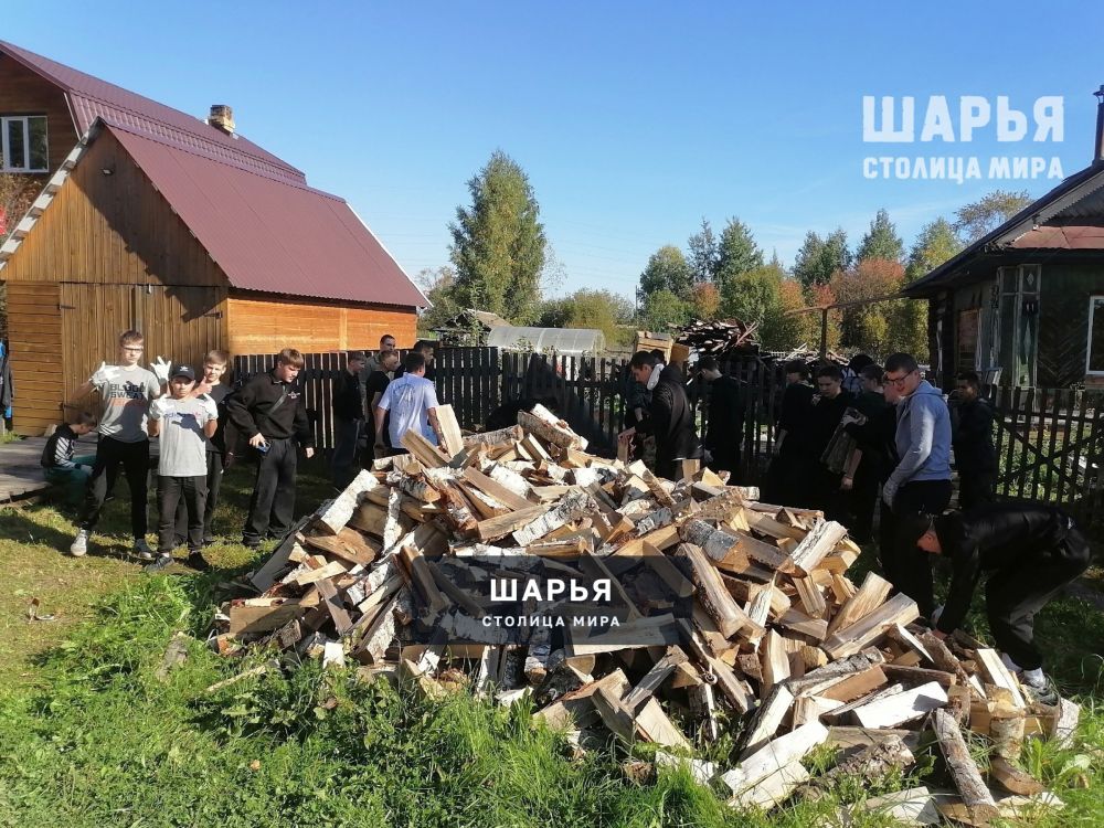 Студенческий десант снова в строю — Шарья — фото 3