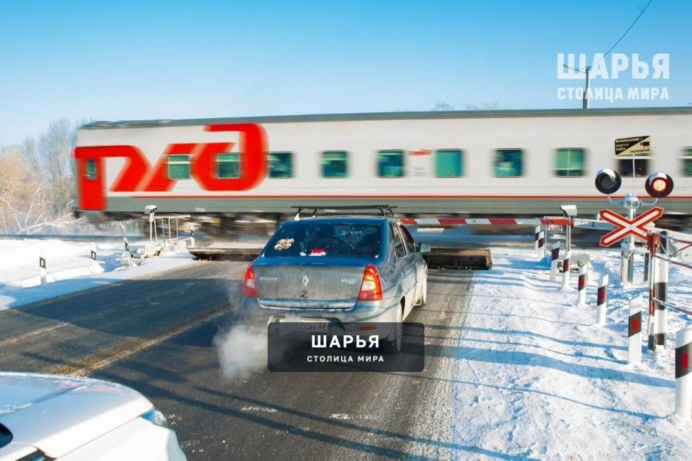 Чертова дюжина — Шарья