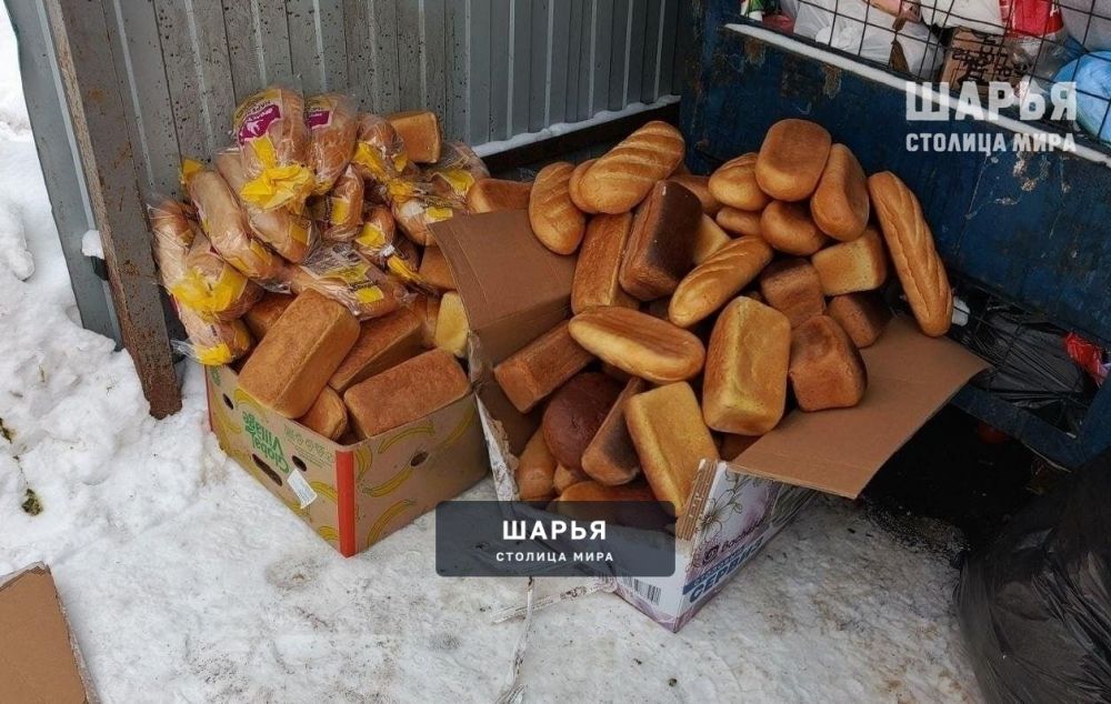 В Чухломе хлеб оказался на помойке — Шарья
