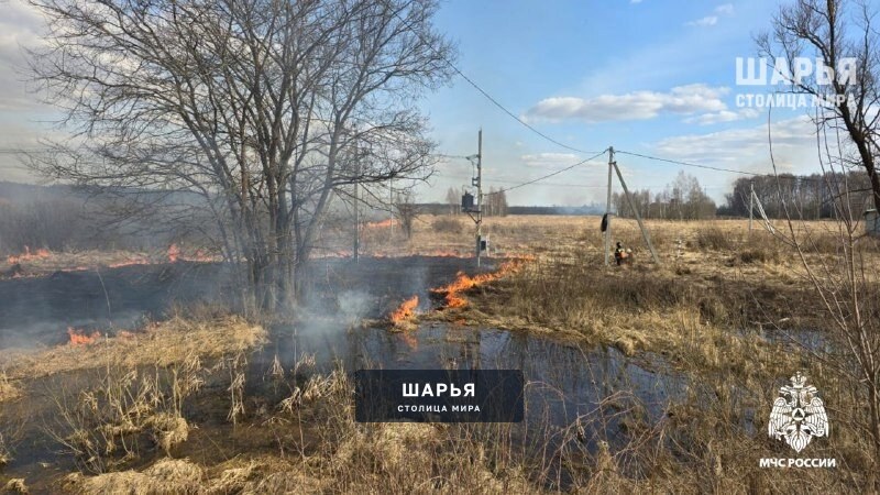 Западная часть региона пылает — Шарья — фото 2