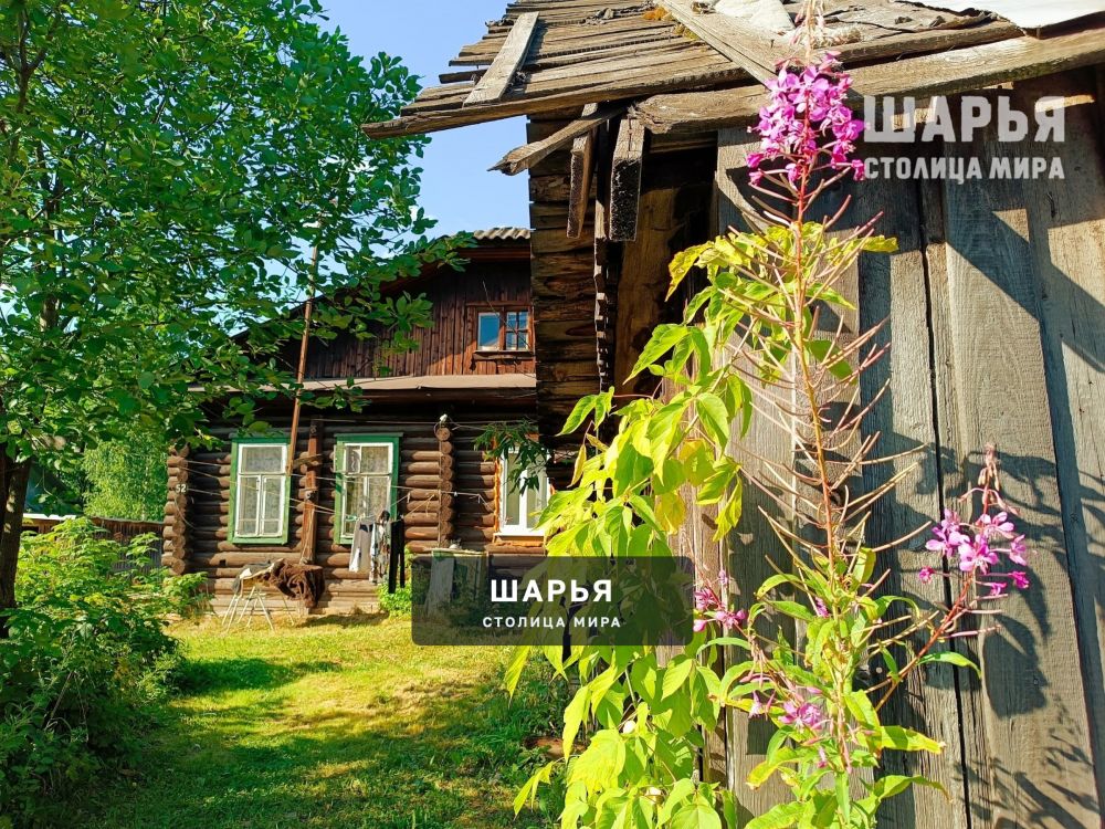 Шарьинцы всё чаще обращают внимание на простые мелочи, из которых складывается наше восприятие… — Шарья