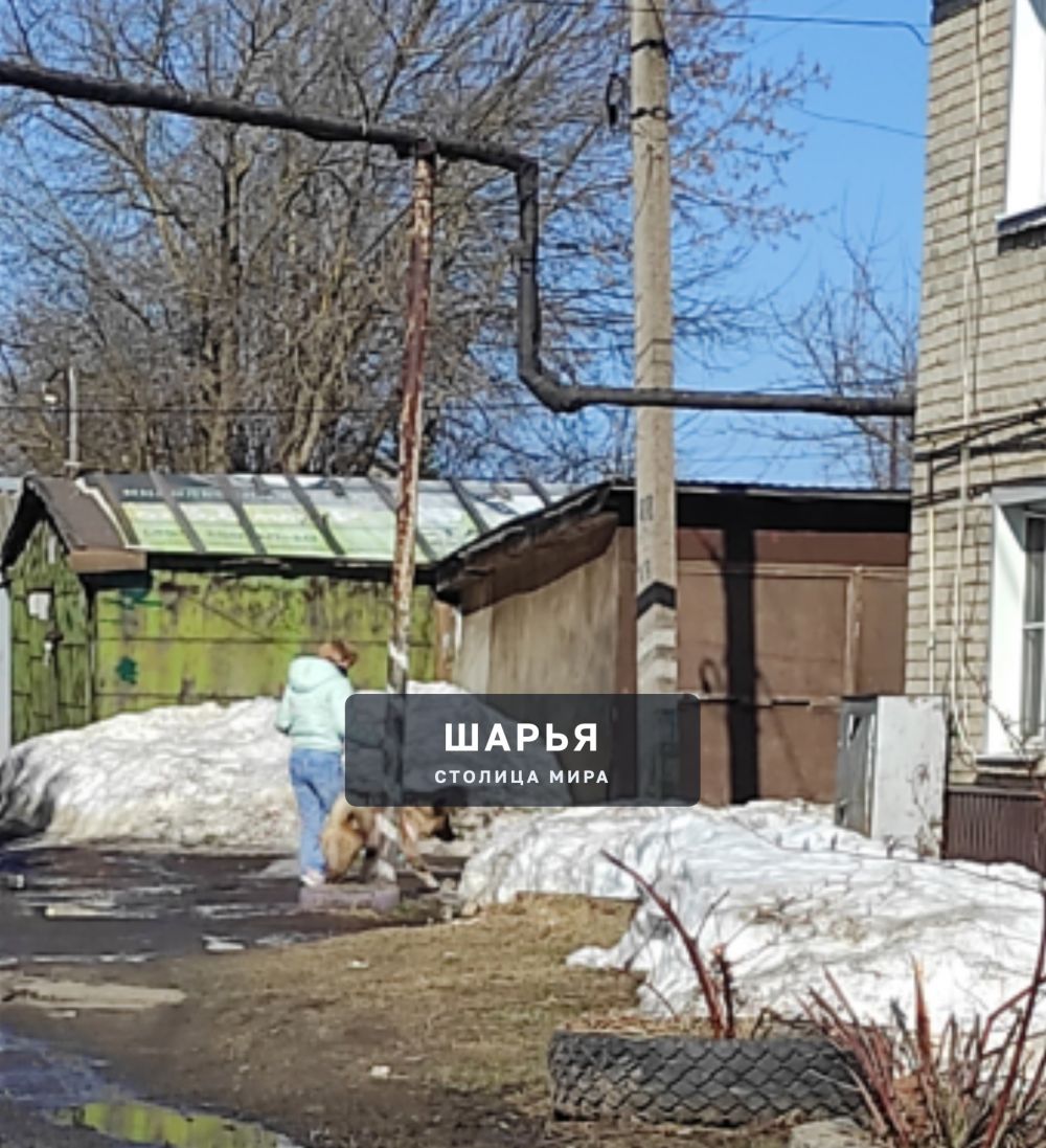 Сегодня увидела такое зрелище — Шарья