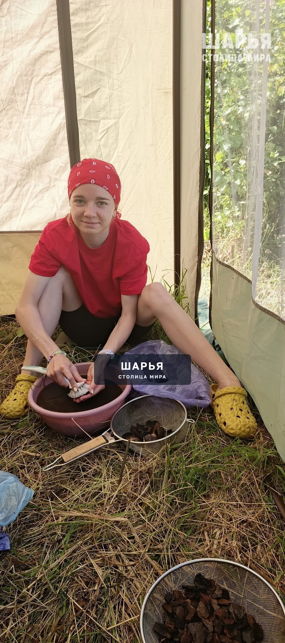 Найдены первые находки этого сезона при раскопках Одоевского городища — Шарья — фото 6