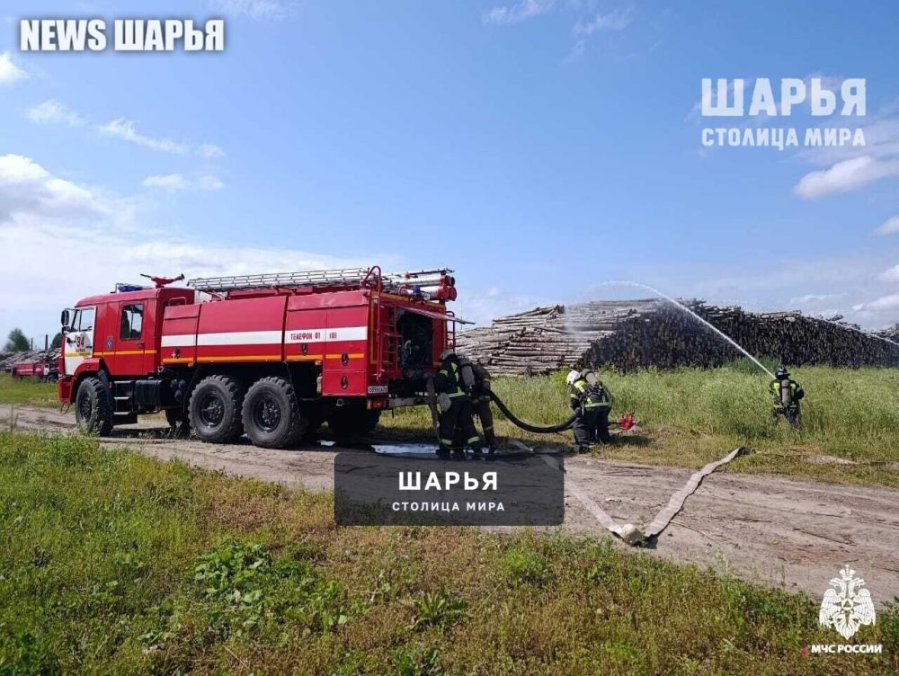 В Шарье на одной из лесопилок загорелся штабель круглого леса — Шарья — фото 3