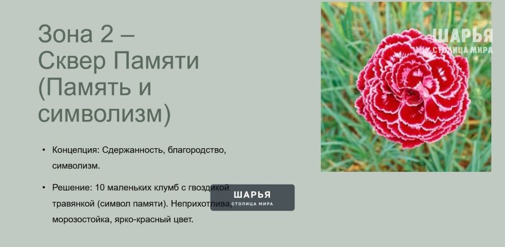 Городская власть предлагает шарьинцам посадить их цветы на общественных клумбах — Шарья — фото 5
