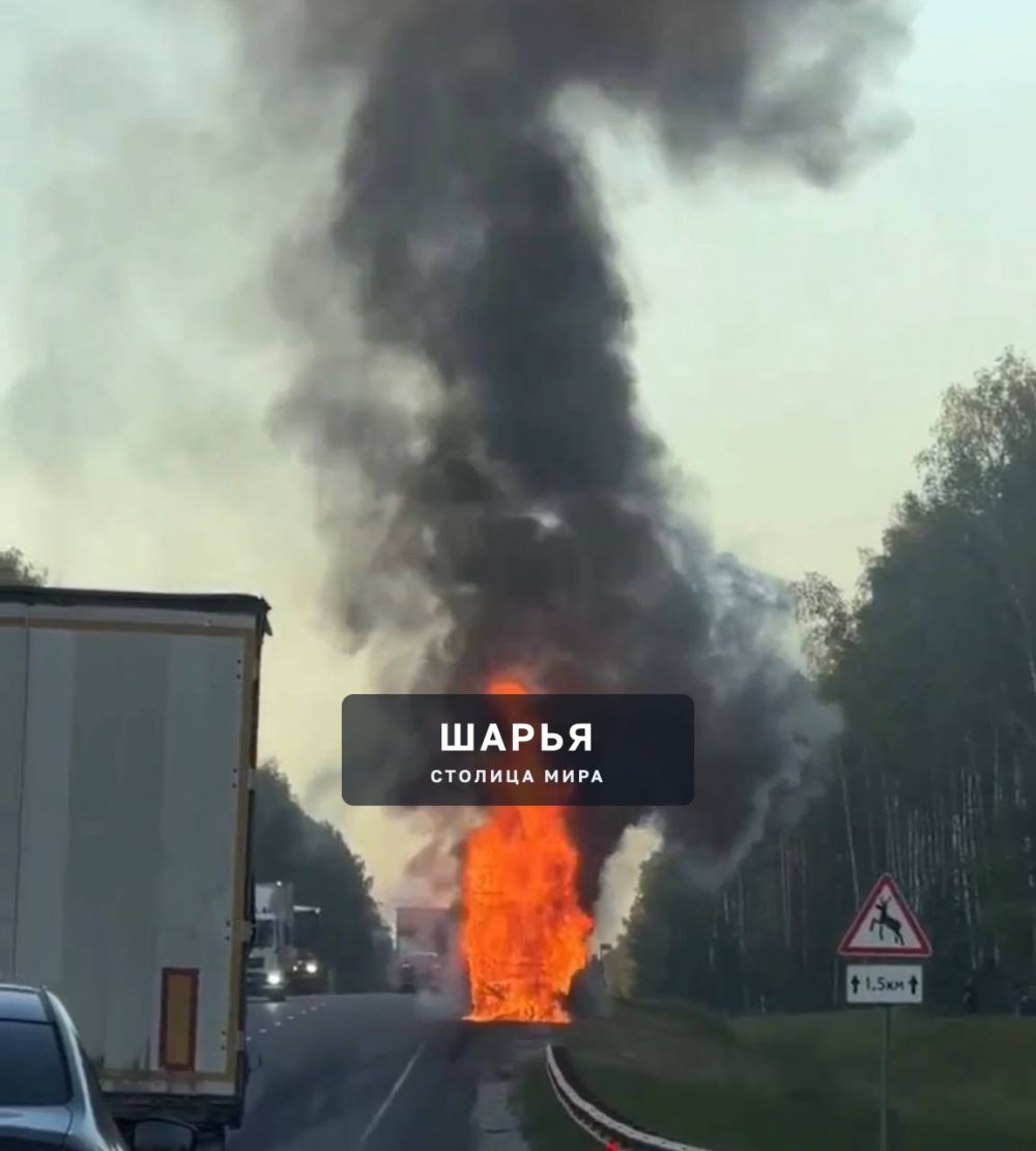 Рейсовый автобус сгорел на трассе по пути в Кострому — Шарья
