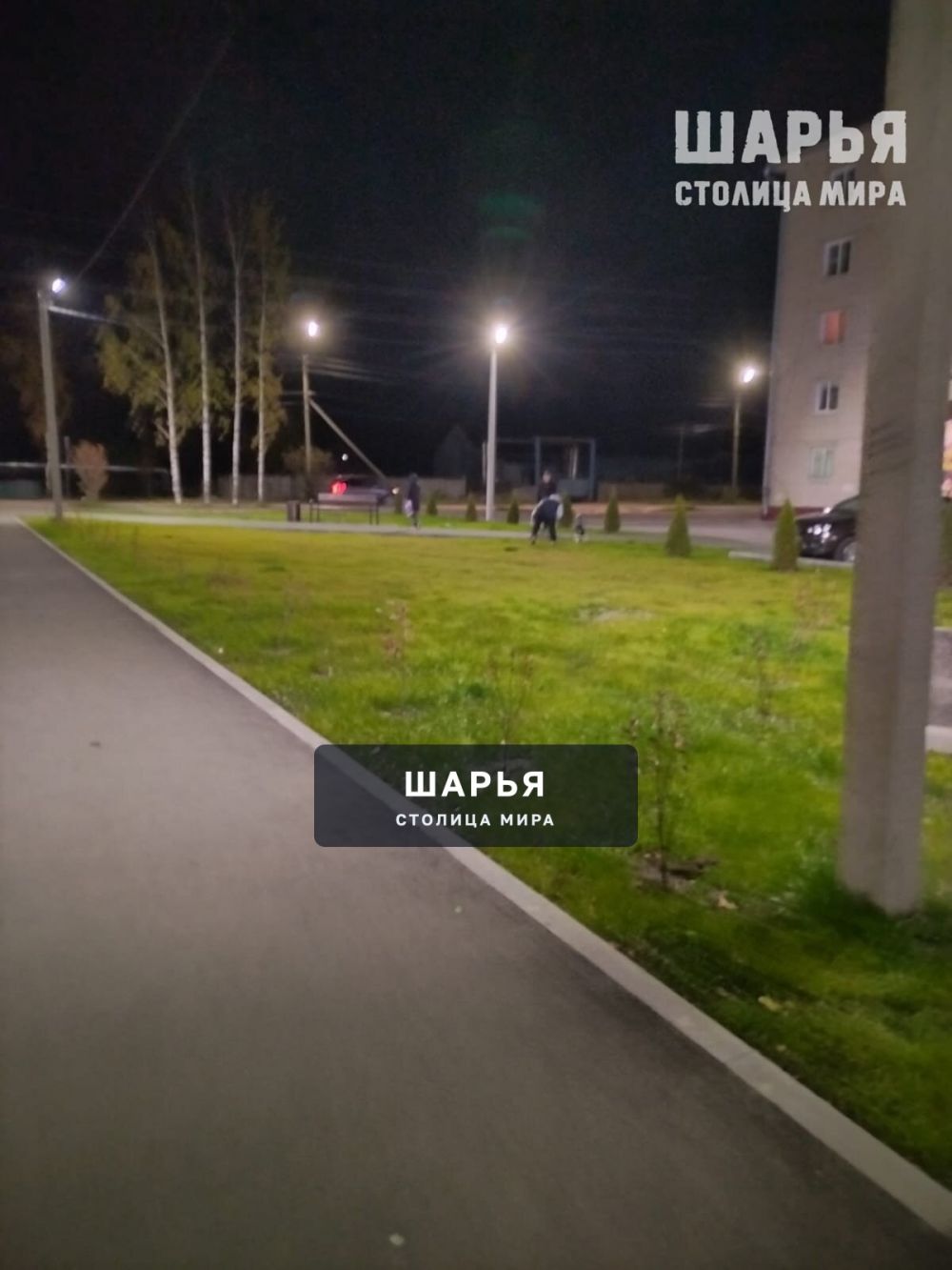 Не для собак, а для жителей и их детей — Шарья — фото 3