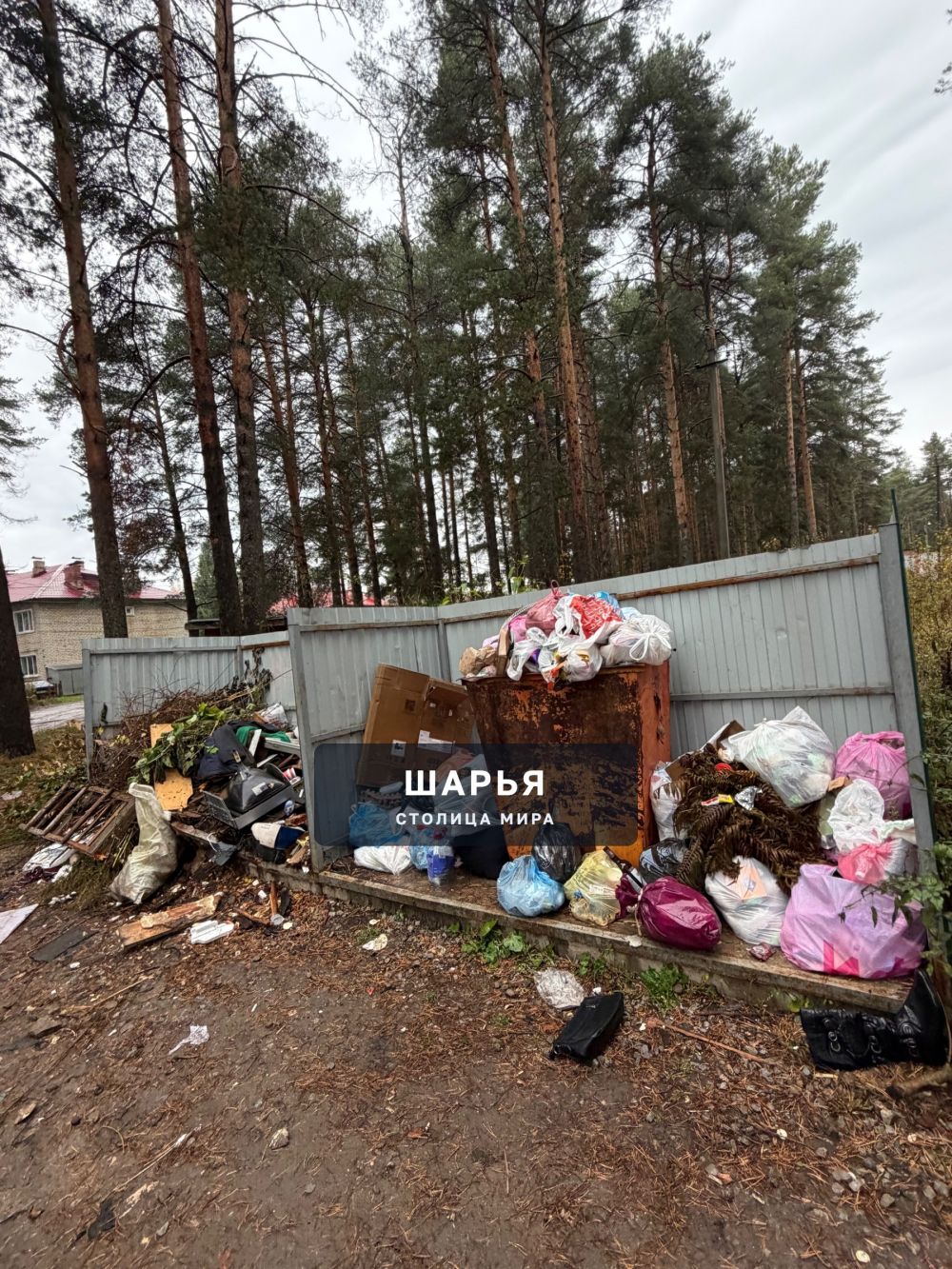 Спецтранс, уберите в конце концов этот страх в бору на Победе!!! — Шарья