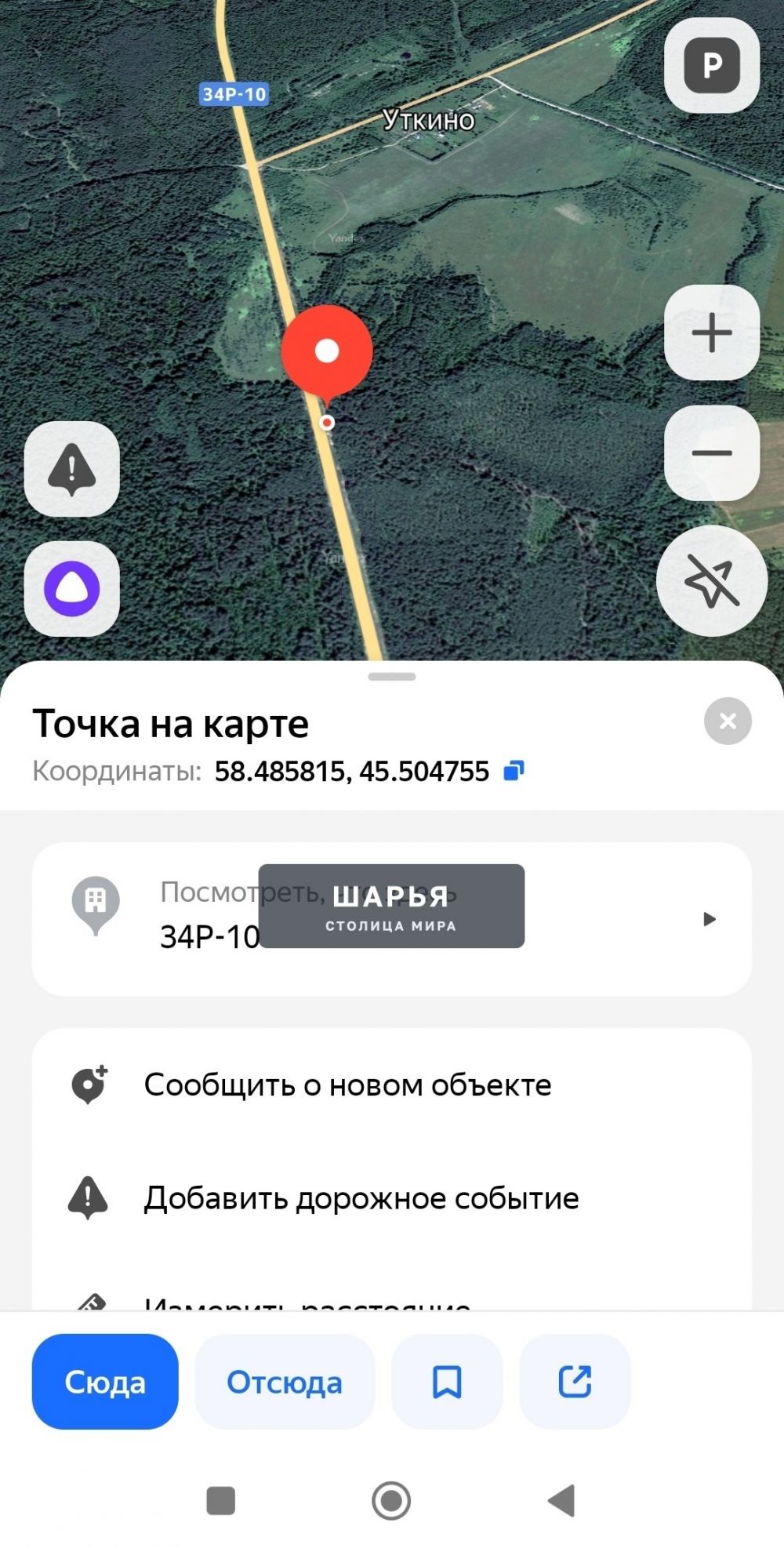 Очередная нычка от двуногих поросят была найдена в лесу — Шарья — фото 9