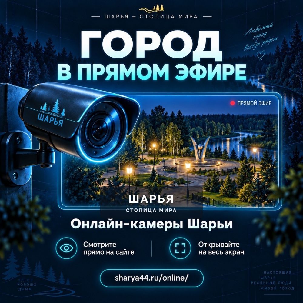 Шарья становится удобнее — и наш городской портал тоже — фото 3