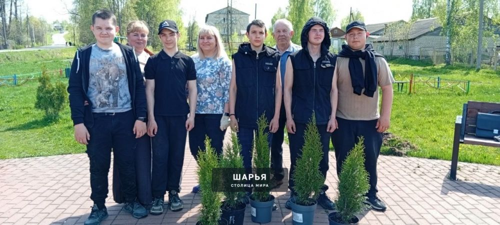 Молодежь Шарьи и Шарьинского района высаживает молодые деревья — Шарья — фото 3