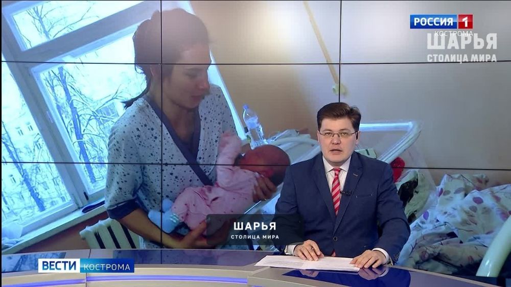Великолепная четверка маленьких жителей региона — Шарья