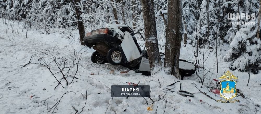 Трагедия на костромской трассе унесла жизни двух человек — Шарья — фото 2
