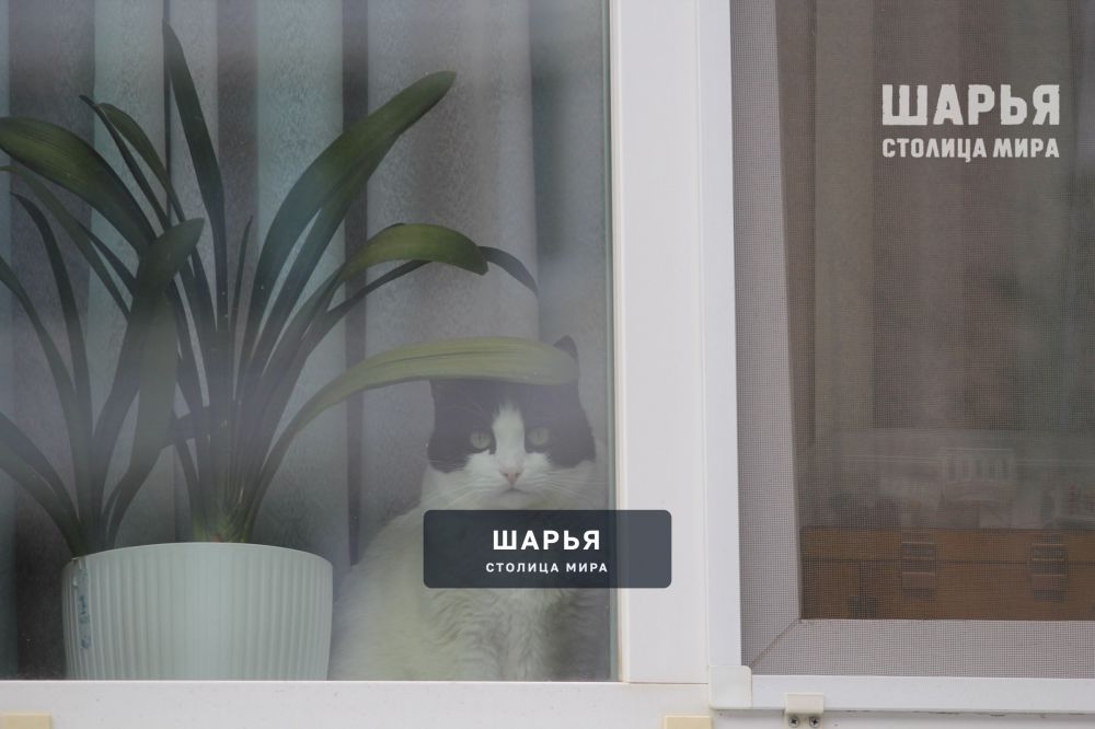 Осень передает привет от зимы — Шарья