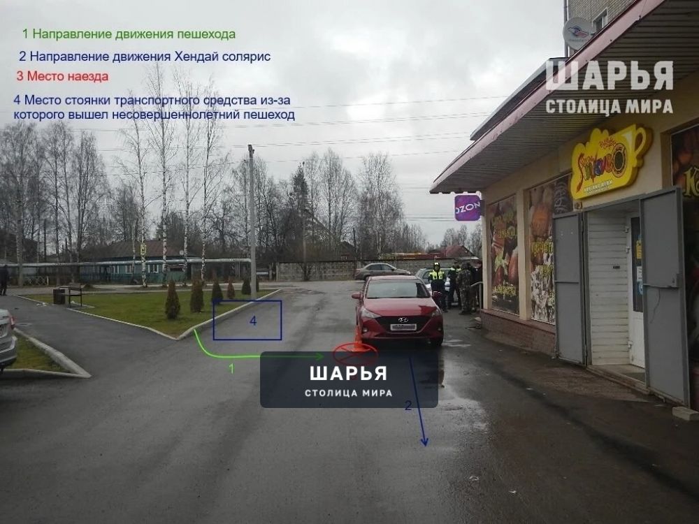В Шарье пострадал шестилетний малыш — Шарья