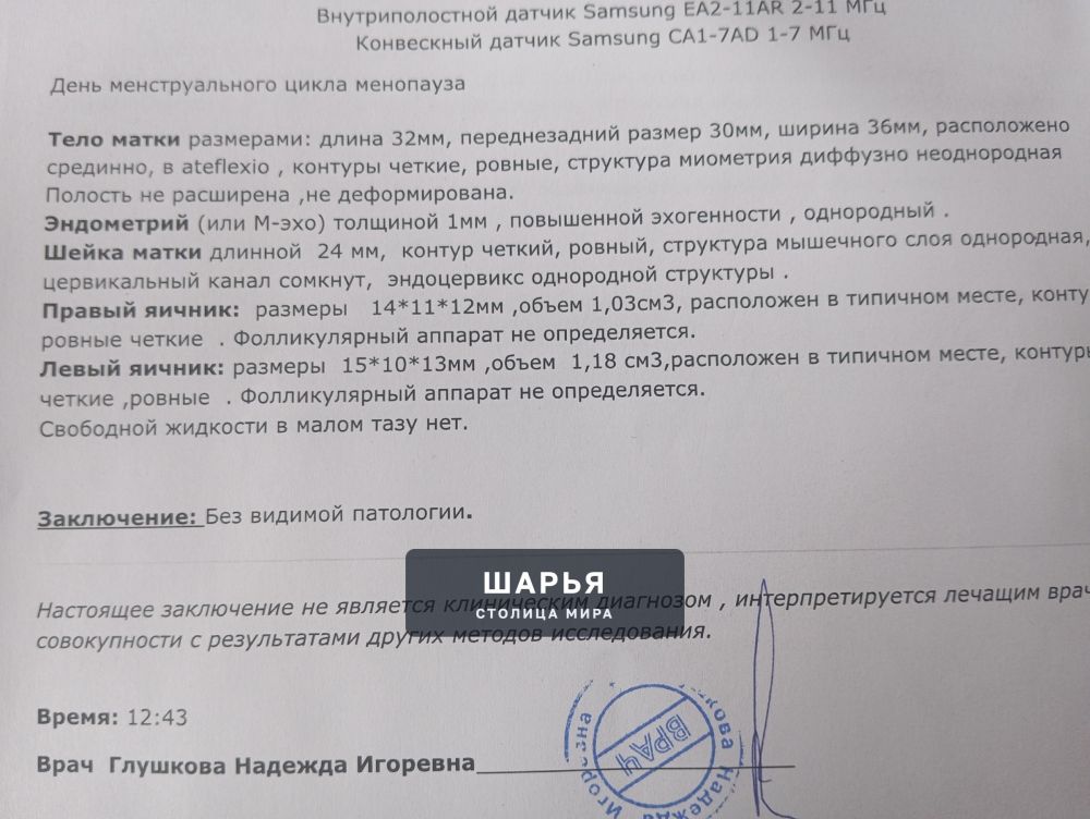 Добрый день, жители г. Шарья! — фото 2