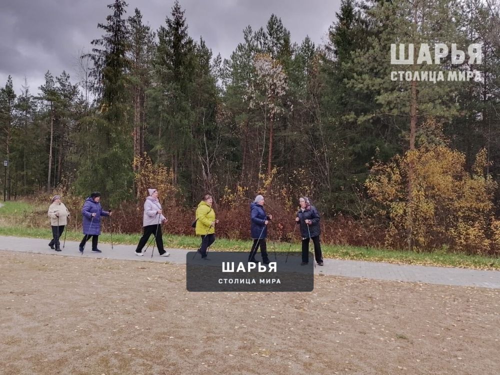 Скандинавская ходьба на Покров всех собрала — Шарья — фото 3