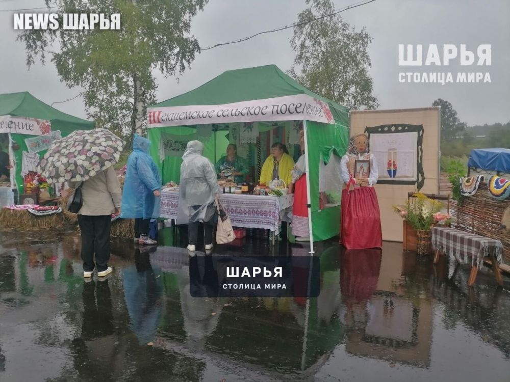 В Шарьинском районе состоялся ежегодный Межрегиональный фестиваль "Мы с Ветлуги-реки" — Шарья — фото 3
