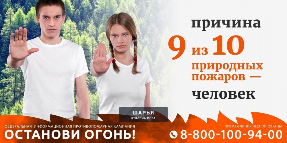 На территории Шарьинского района установился III класс пожарной опасности — Шарья — фото 4