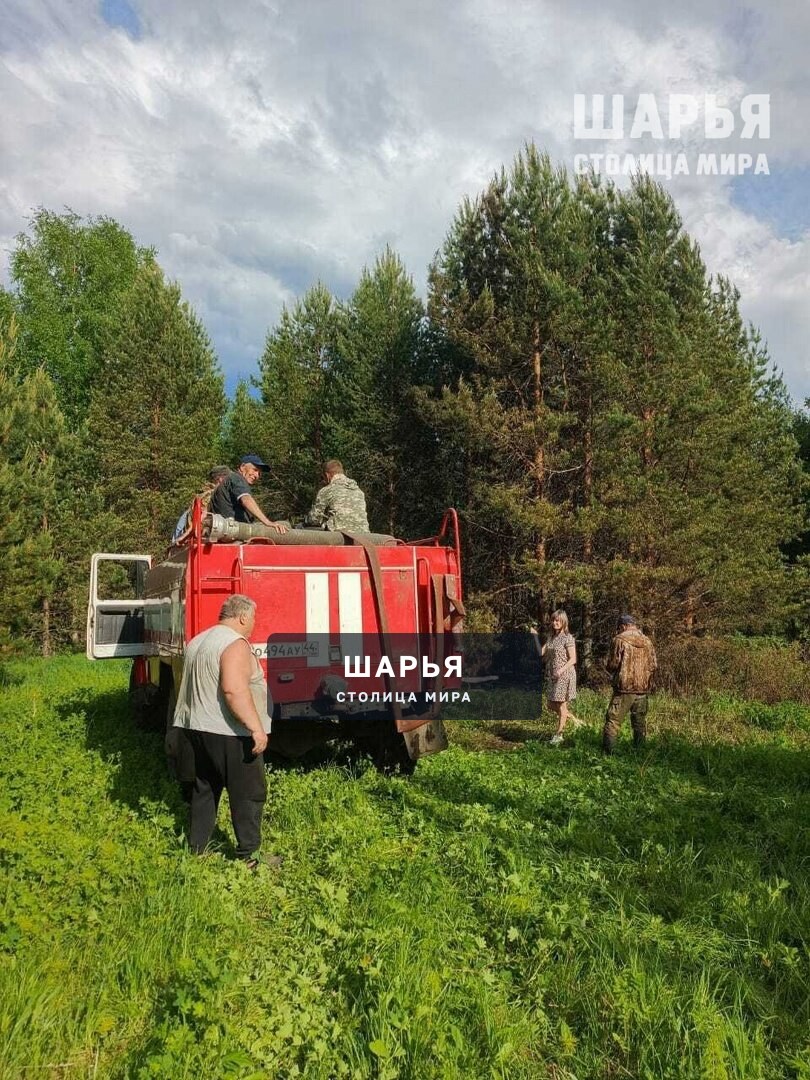 Оставленный рыбаками костер на берегу Ветлуги привел к лесному пожару — Шарья — фото 5