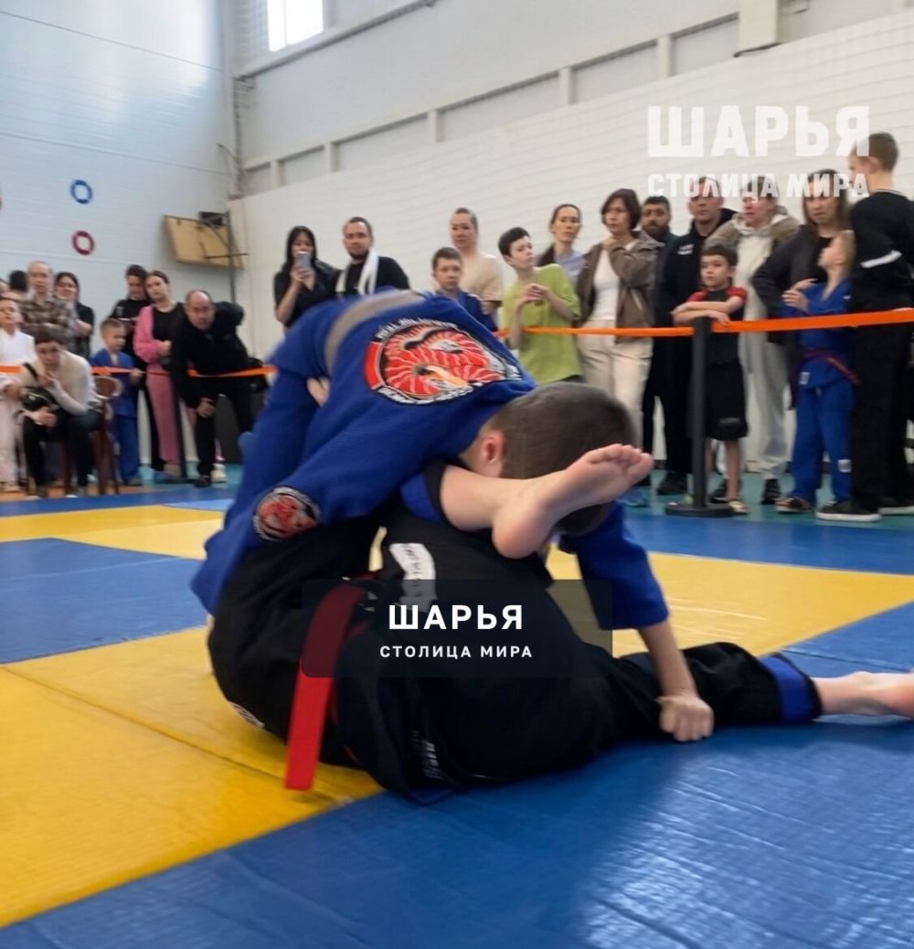 Юные шарьинские "спартанцы" громко заявили о себе — Шарья — фото 3