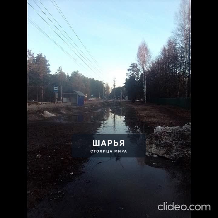 Публикация «Природное явление на пешеходной тропе» — Шарья