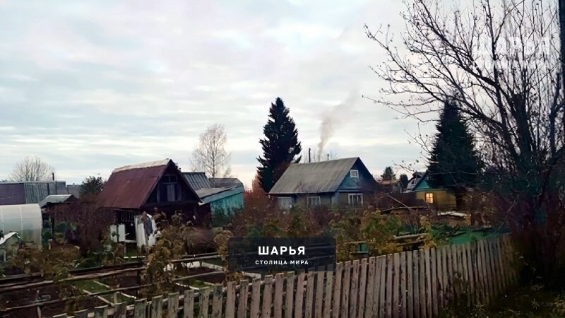 В России планируют изменить требования к садовым участкам — Шарья
