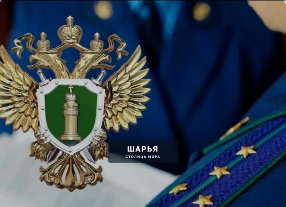 Обязательные работы за украденный рюкзак и джемпер — Шарья