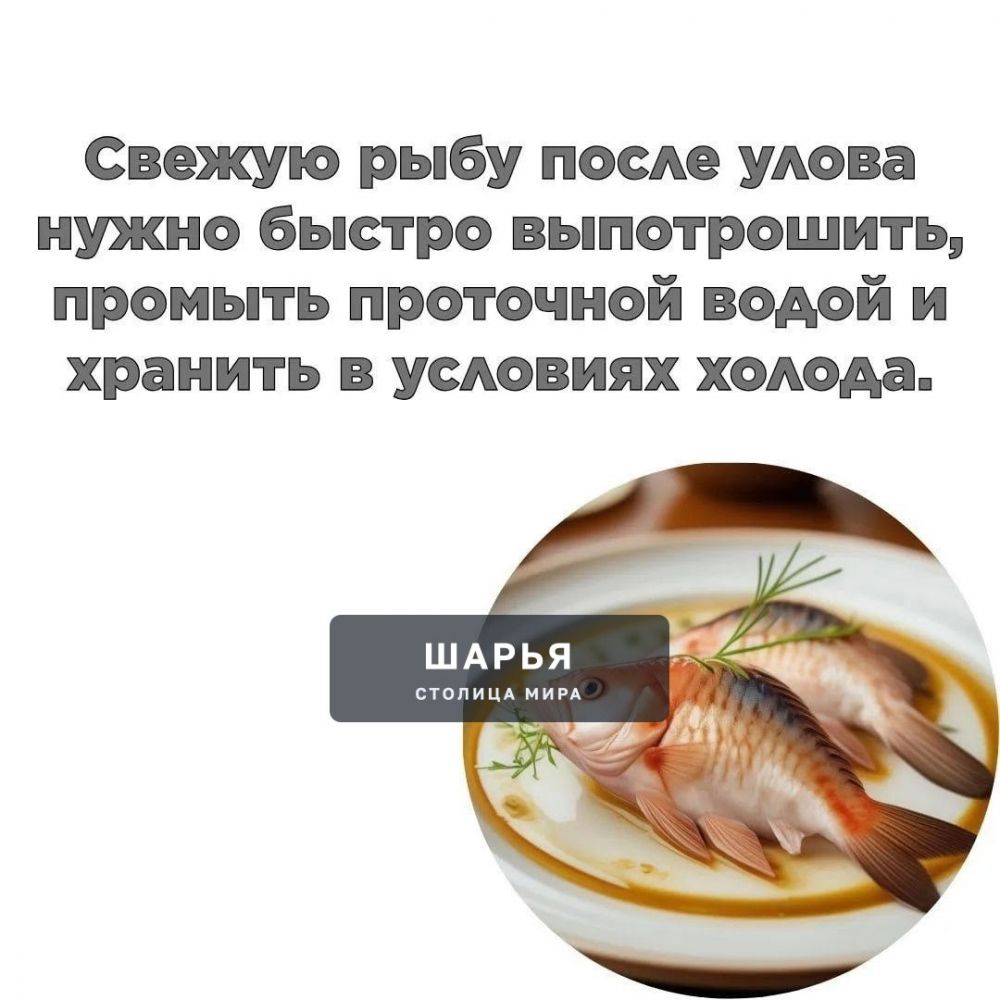 Продолжается сезон активного консервирования и заготовок на зиму — Шарья — фото 6