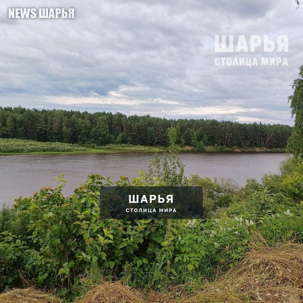Археологи начали работу под Одоевским — Шарья — фото 7
