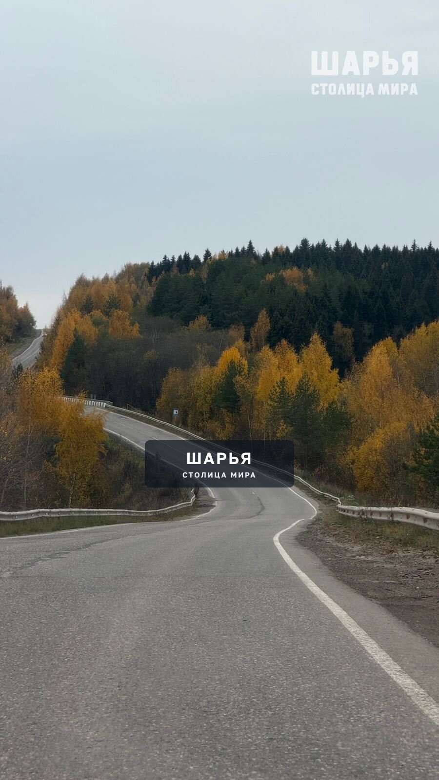 Последний теплый денек Трасса Шарья-Кострома — фото 2