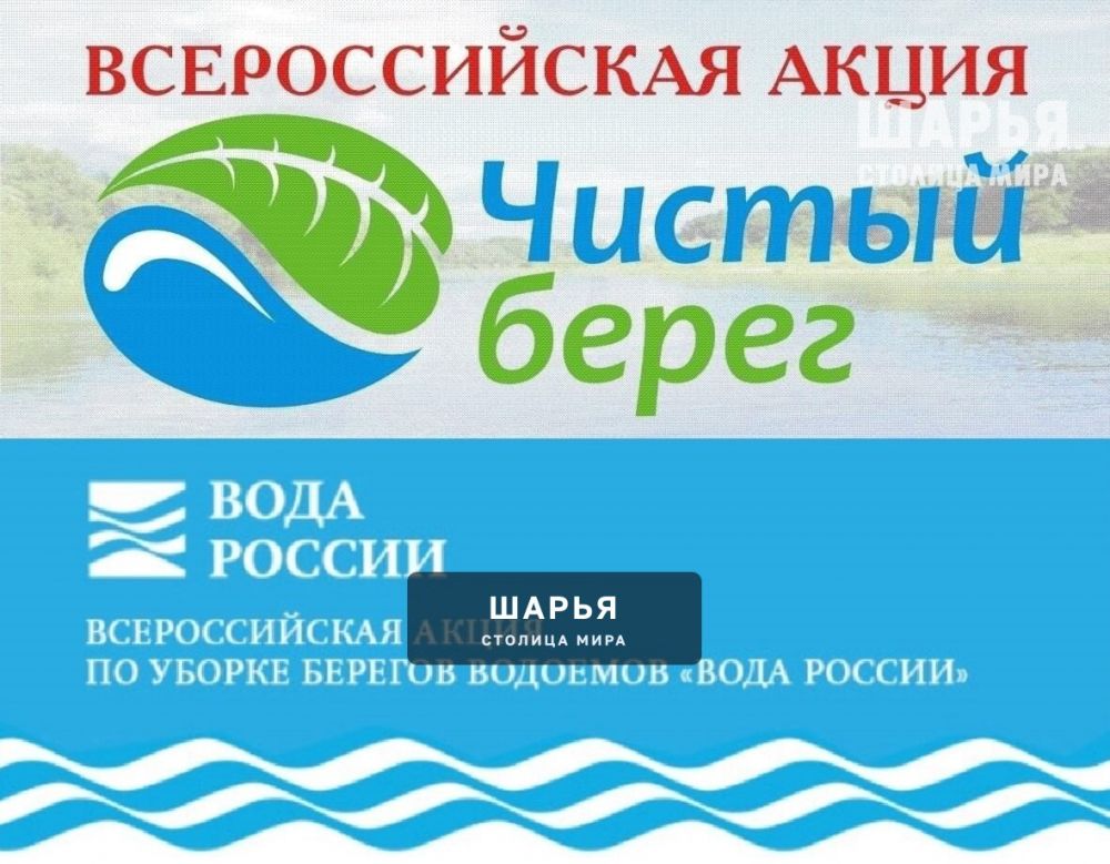 Шарьинцев приглашают на уборку Городского пляжа — Шарья