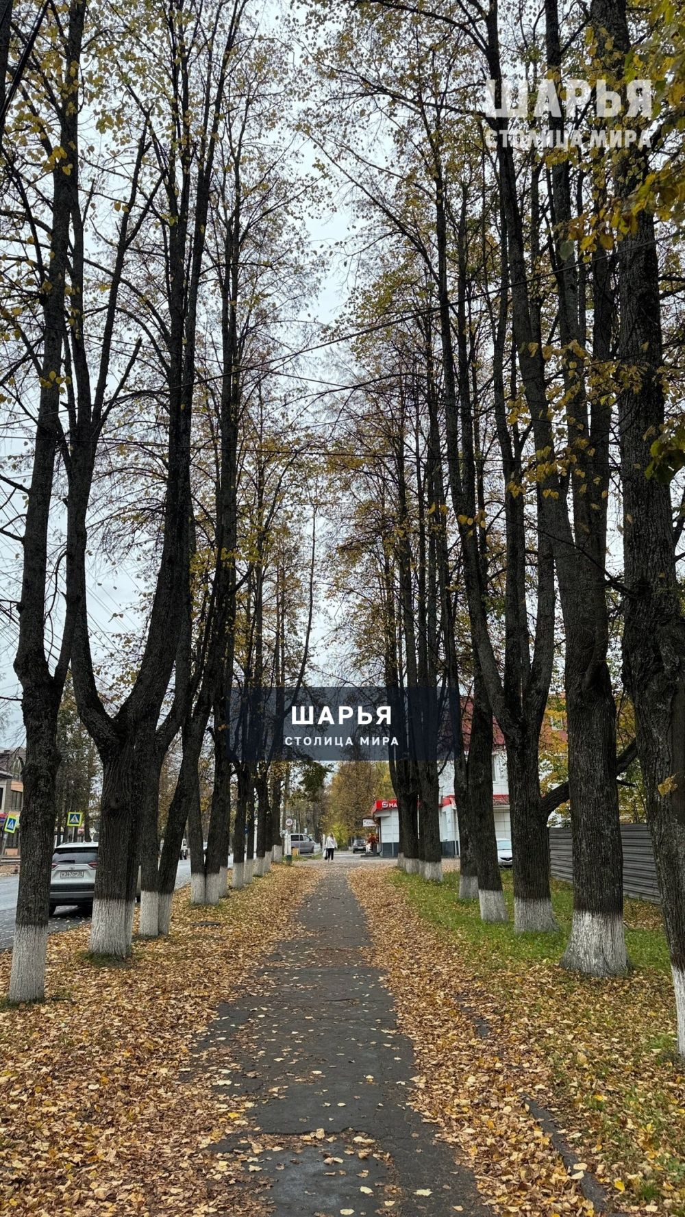 Осень — Шарья — фото 5