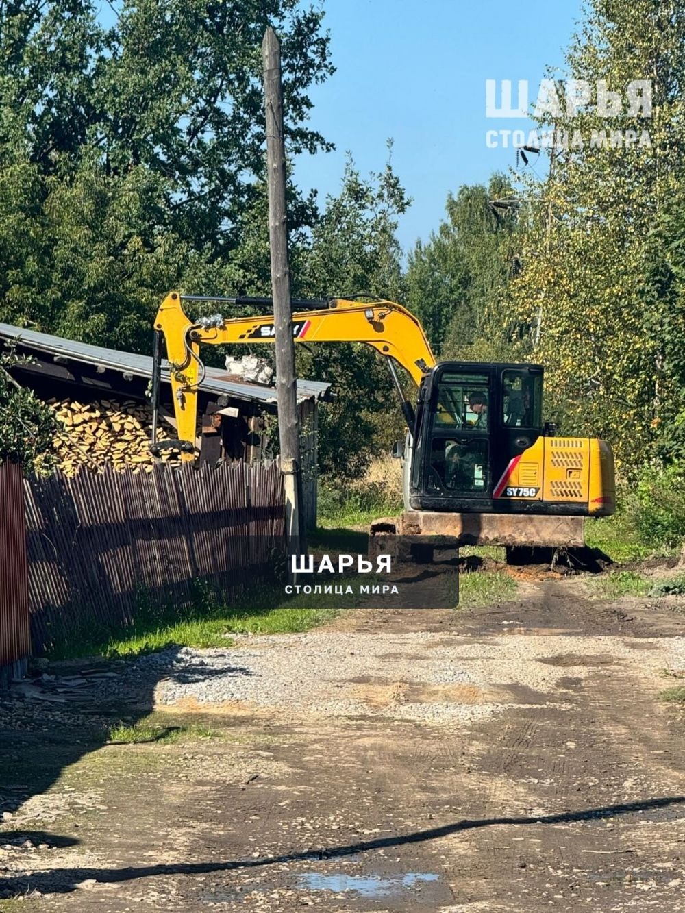 Молодые предприниматели Шарьи радеют за свою малую Родину — Шарья