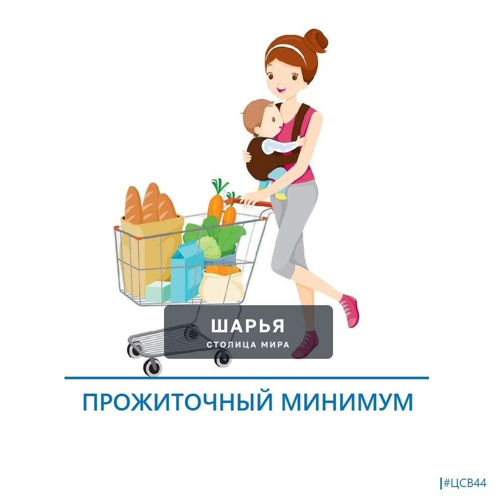 Центр социальных выплат Костромы назвал размер прожиточного минимума в 2026 году — Шарья