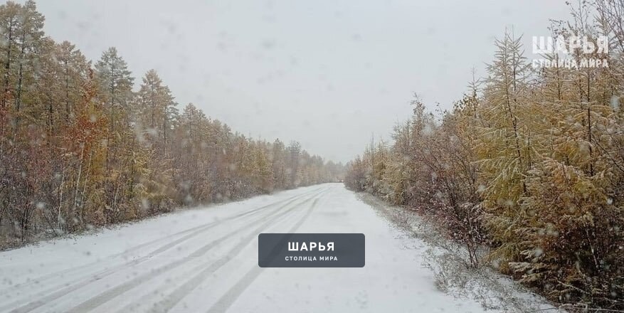 Снег может выпасть в Костромской области уже на этой неделе — Шарья