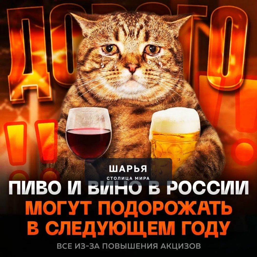 Пиво и вино в России РЕЗКО ПОДОРОЖАЮТ с нового года — с 1 января вырастут акцизы на алкоголь — Шарья