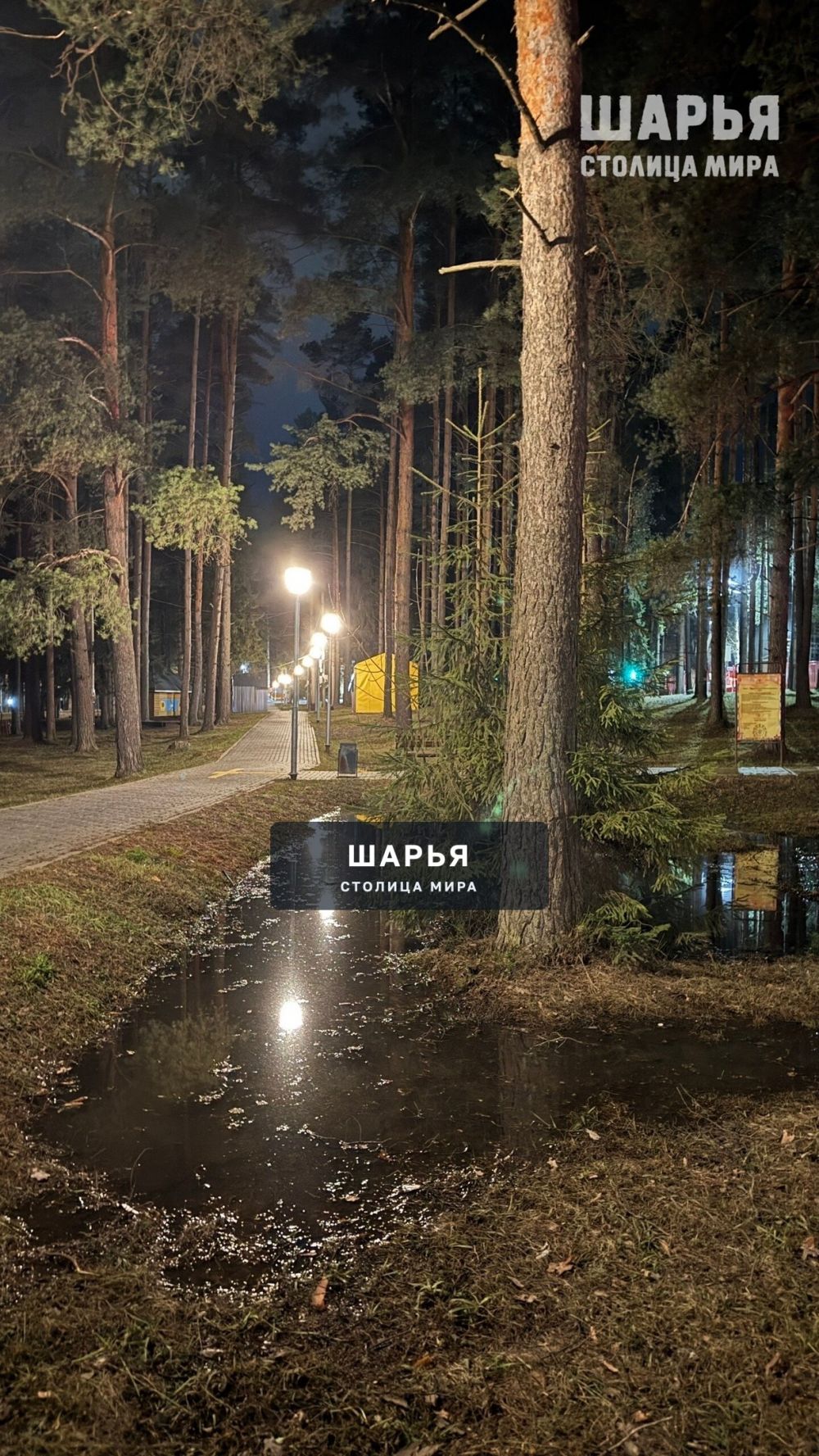 Присылайте фотографии города и окрестностей, ваши фотографии или красивые снимки нашей природы — Шарья — фото 3