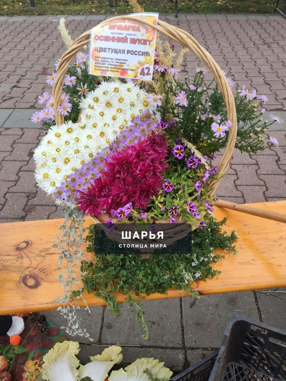 Пять дипломов Лауреата - итог поездки выходного дня в областной центр — Шарья — фото 7