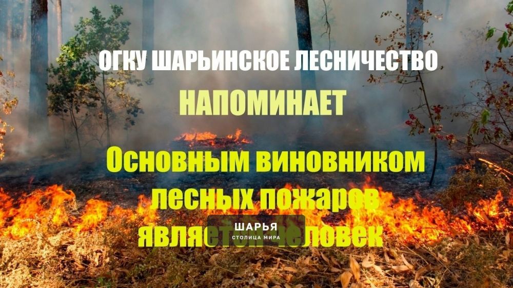 На территории Шарьинского района установился III класс пожарной опасности — Шарья — фото 1