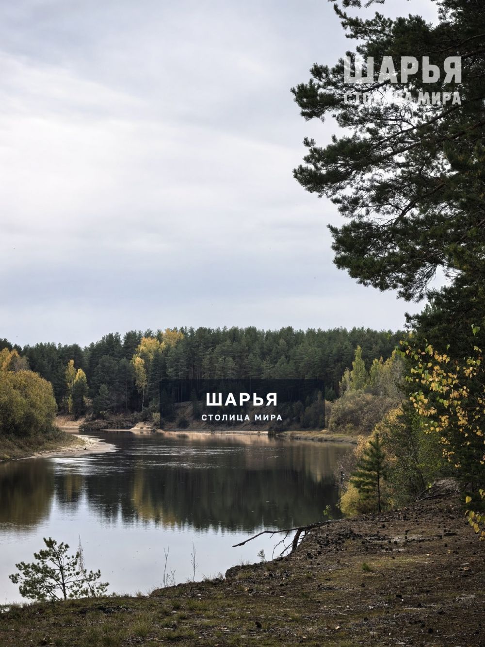 Красный яр — Шарья
