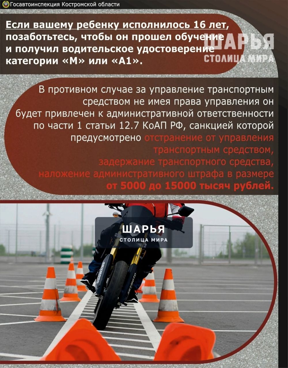 Безопасность – наш главный приоритет — Шарья — фото 4