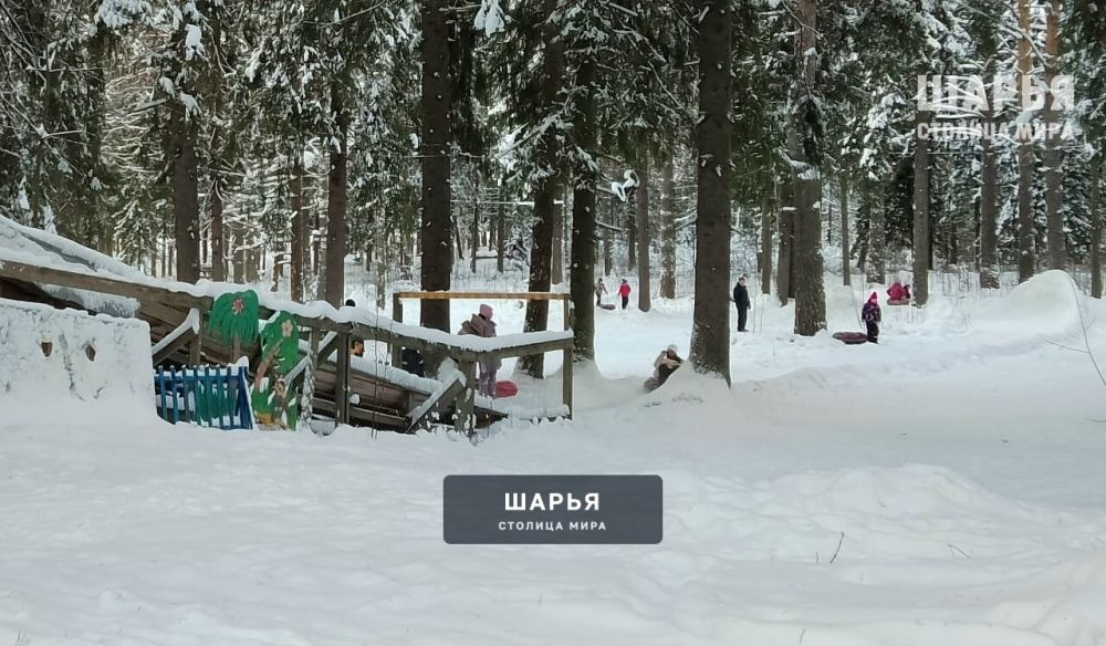 Зимняя сказка в Городском парке Шарьи завораживает — Шарья — фото 4
