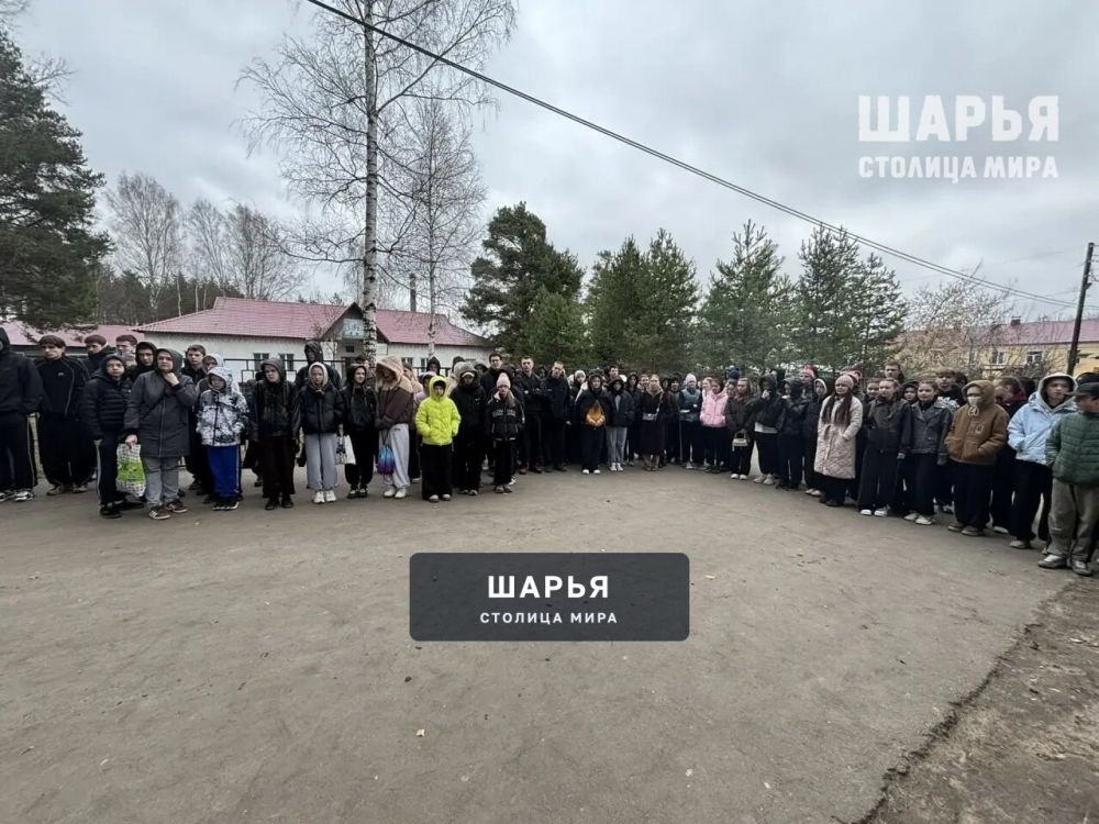 В Шарье завершен муниципальный этап Всероссийской военно-патриотической игры Зарница 2.0 — Шарья — фото 3