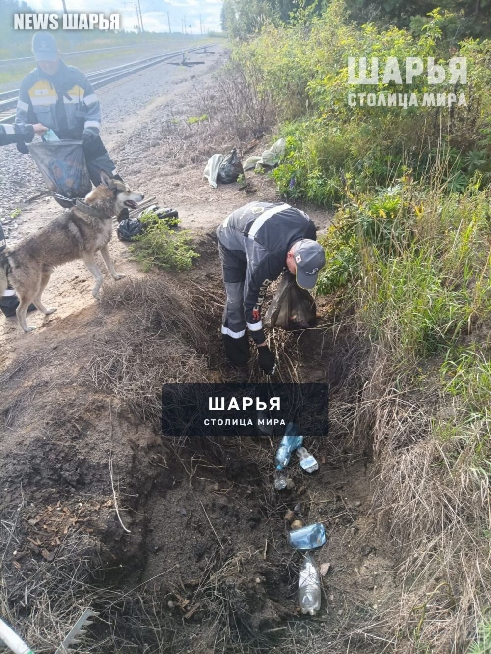 Берег реки Шарьинки очистили от мусора — Шарья — фото 2