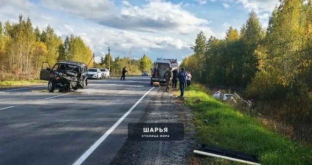 Мужчина погиб в ДТП в Шарьинском районе — Шарья — фото 3