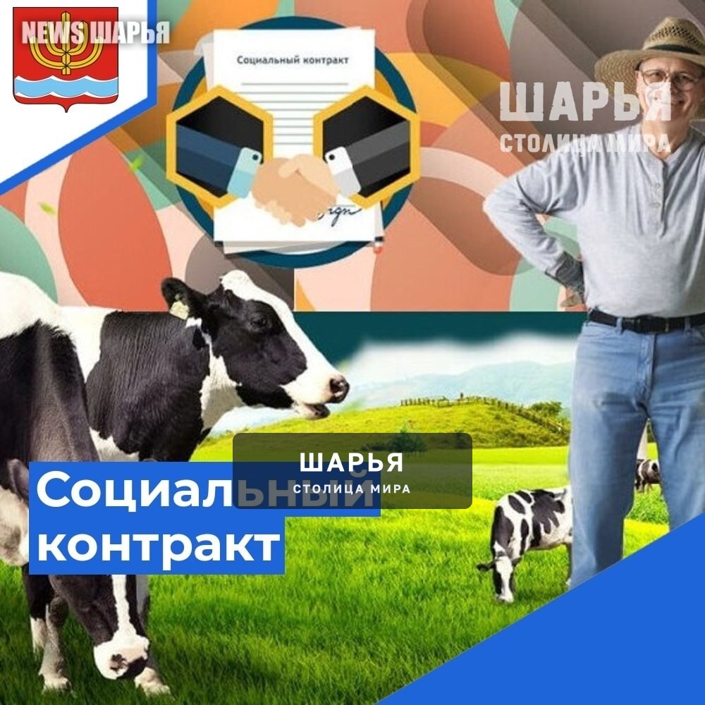 Более 15 шарьинцев стали обеспеченнее, заключив соцконтракт — Шарья
