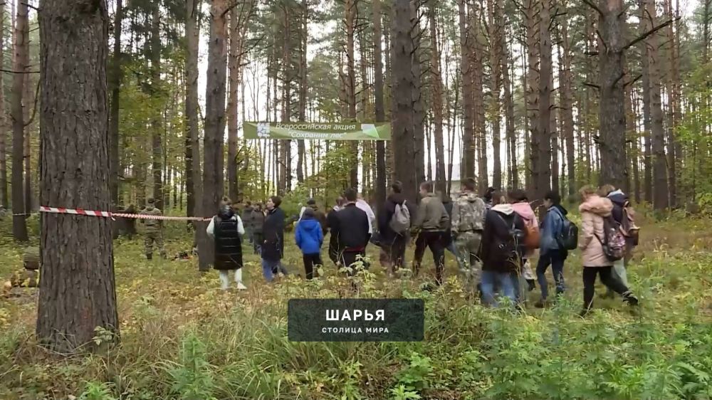 Северо-восточные районы Костромской области стали участниками Всероссийской акции «Сохраним… — Шарья