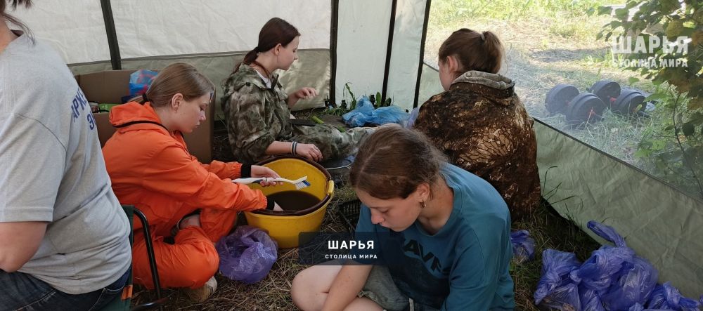 Найдены первые находки этого сезона при раскопках Одоевского городища — Шарья — фото 7