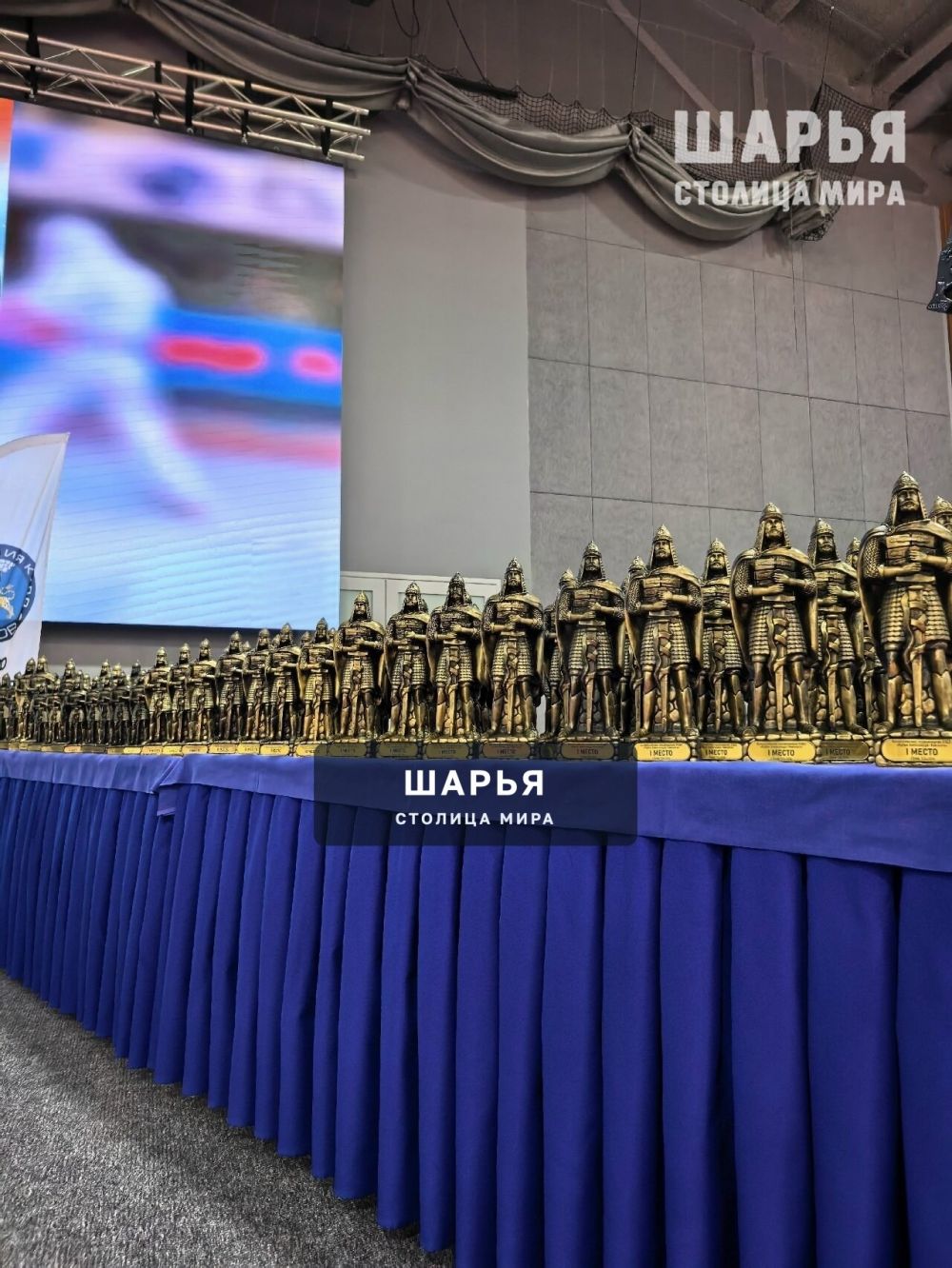 Два шарьинца стали победителями Всероссийского турнира по кудо — Шарья — фото 5